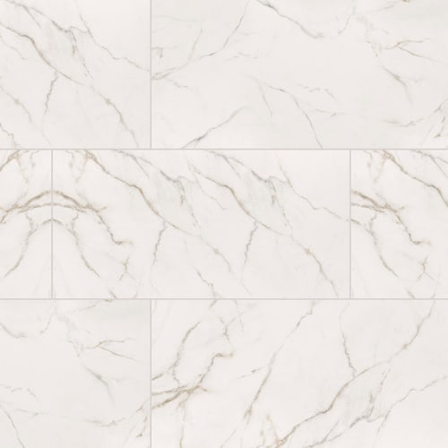 Kaya in Calacatta Lucca - 24x48 Polished