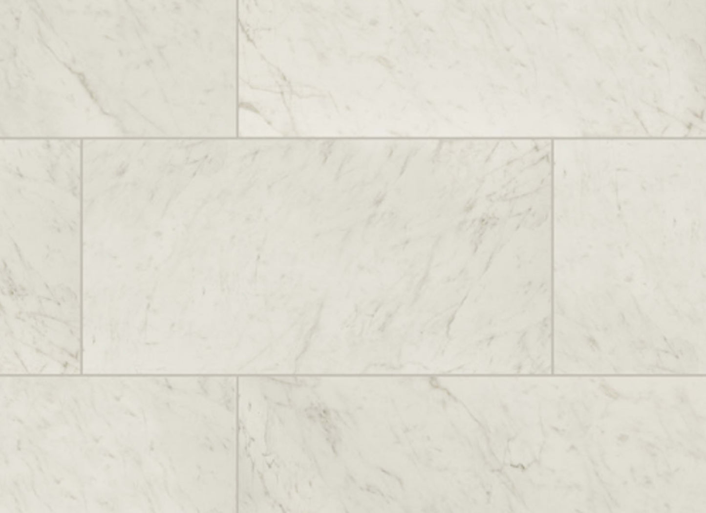 Kaya in Carrara Bianco - 12x24 Matte
