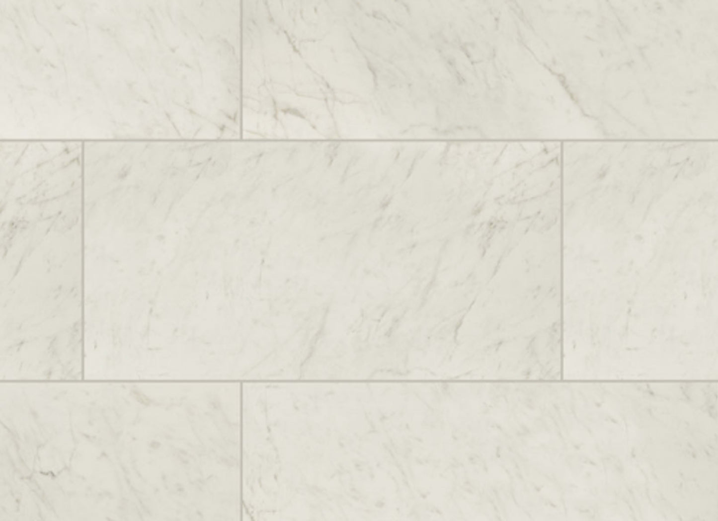 Kaya in Carrara Bianco - 24x48 Matte
