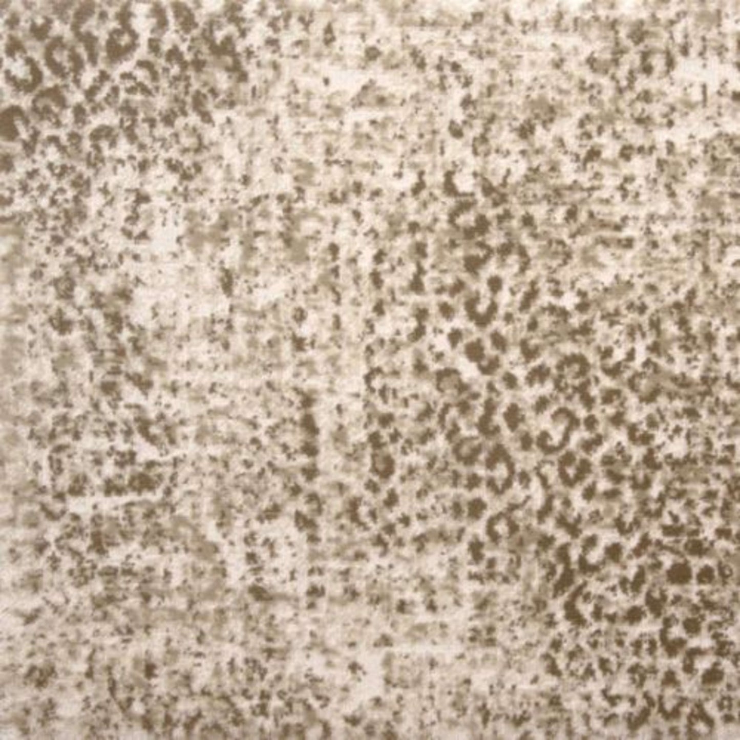 Kiki in Wheat Carpet