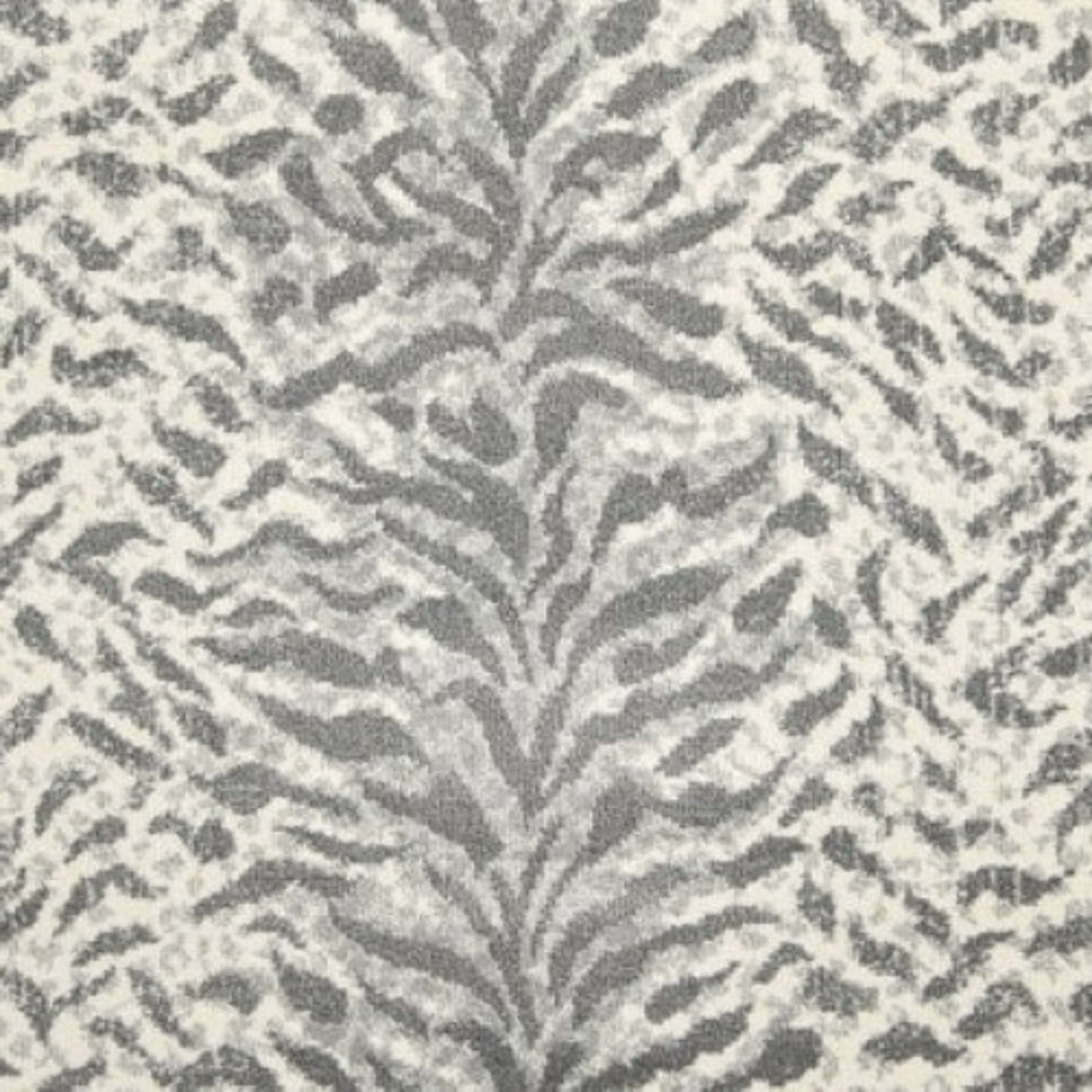 King Tiger in Silver Carpet