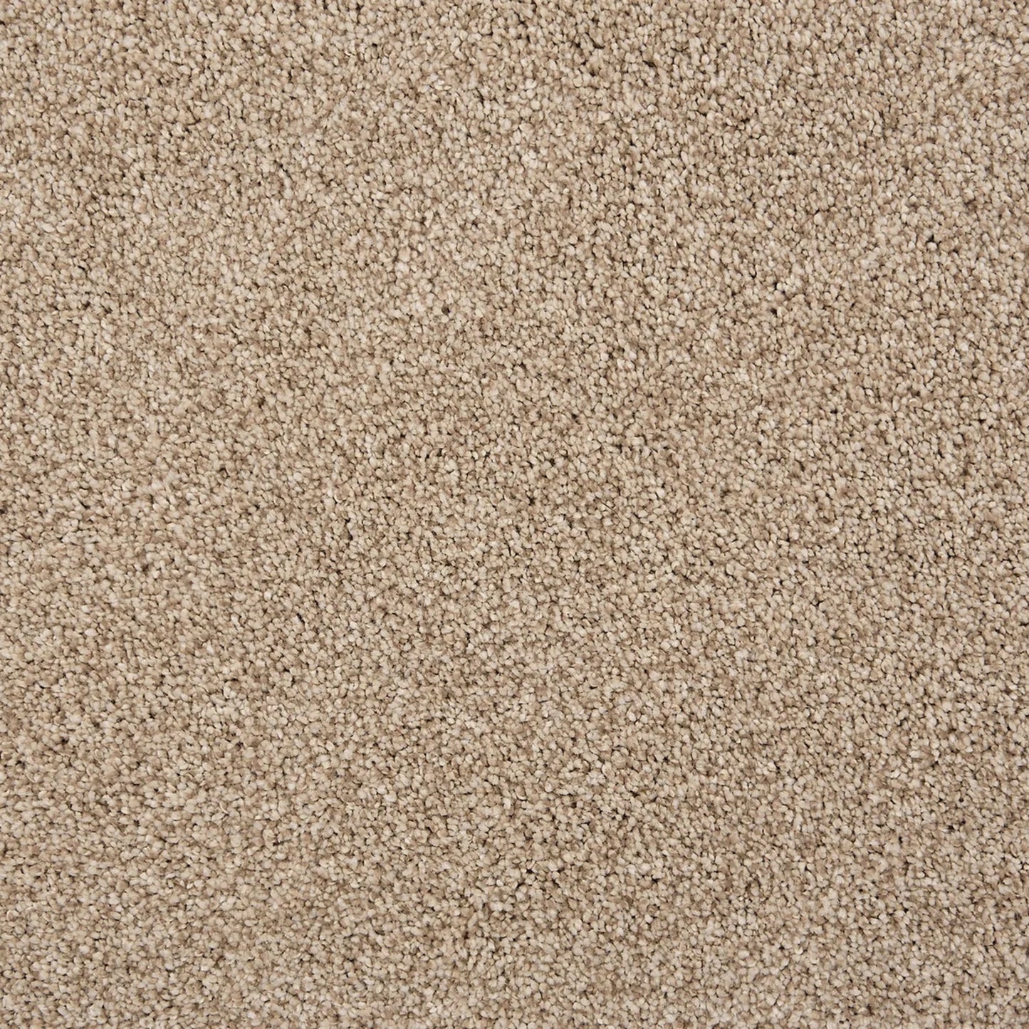 Knights Tale II in Sand Carpet