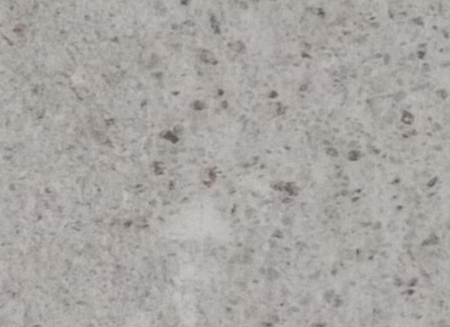 ProSeries - Loften - 24"x24" in Gravel Limestone