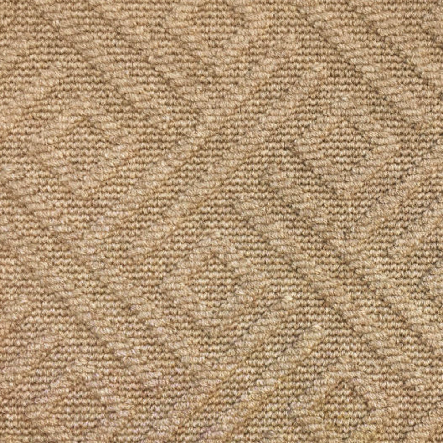 Longford in Hazelnut Carpet