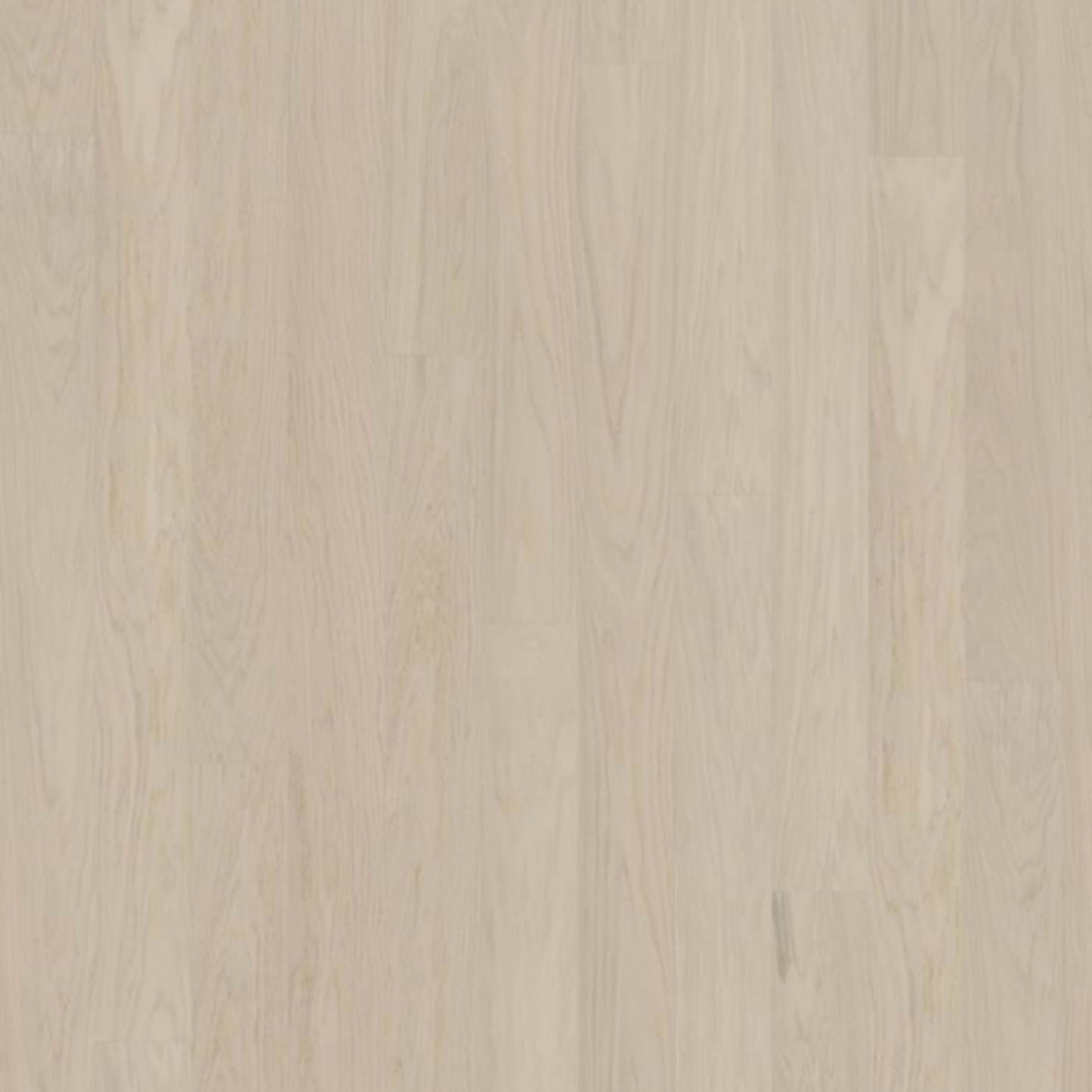 Life Collection in Coconut Cream Wide