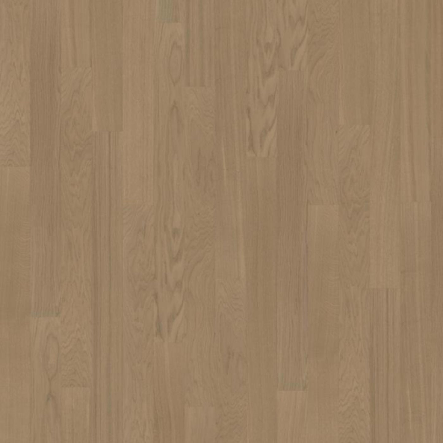 Life Collection in Butterscotch Narrow