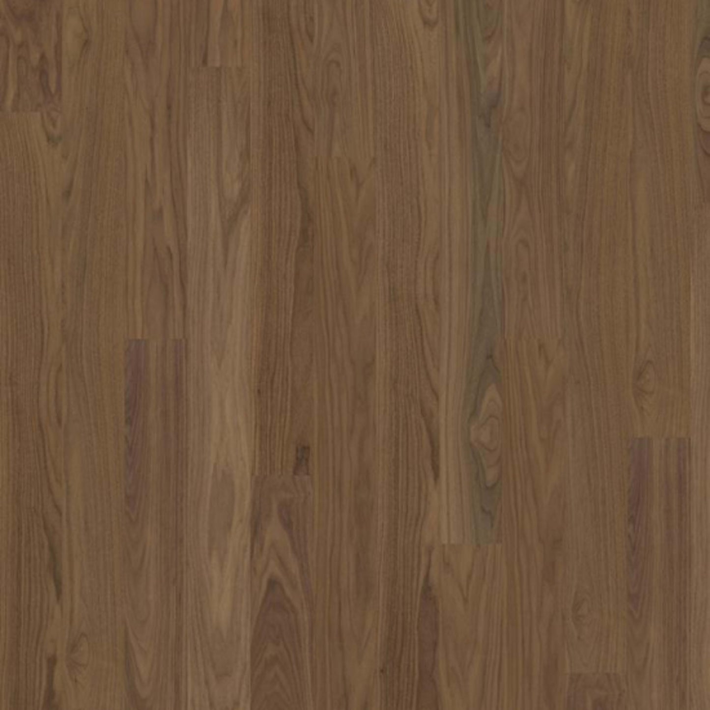Life Collection in Pure Walnut Wide