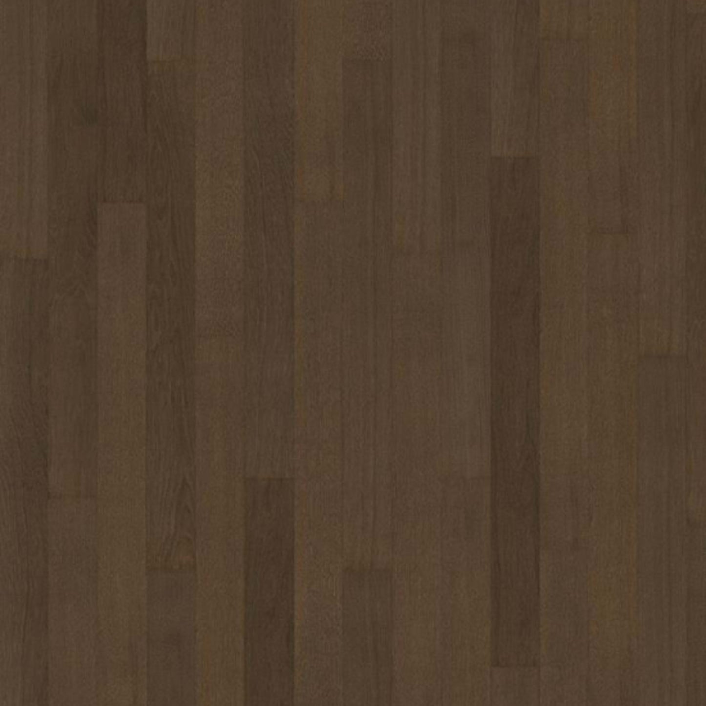 Life Collection in Cocoa Bean Narrow