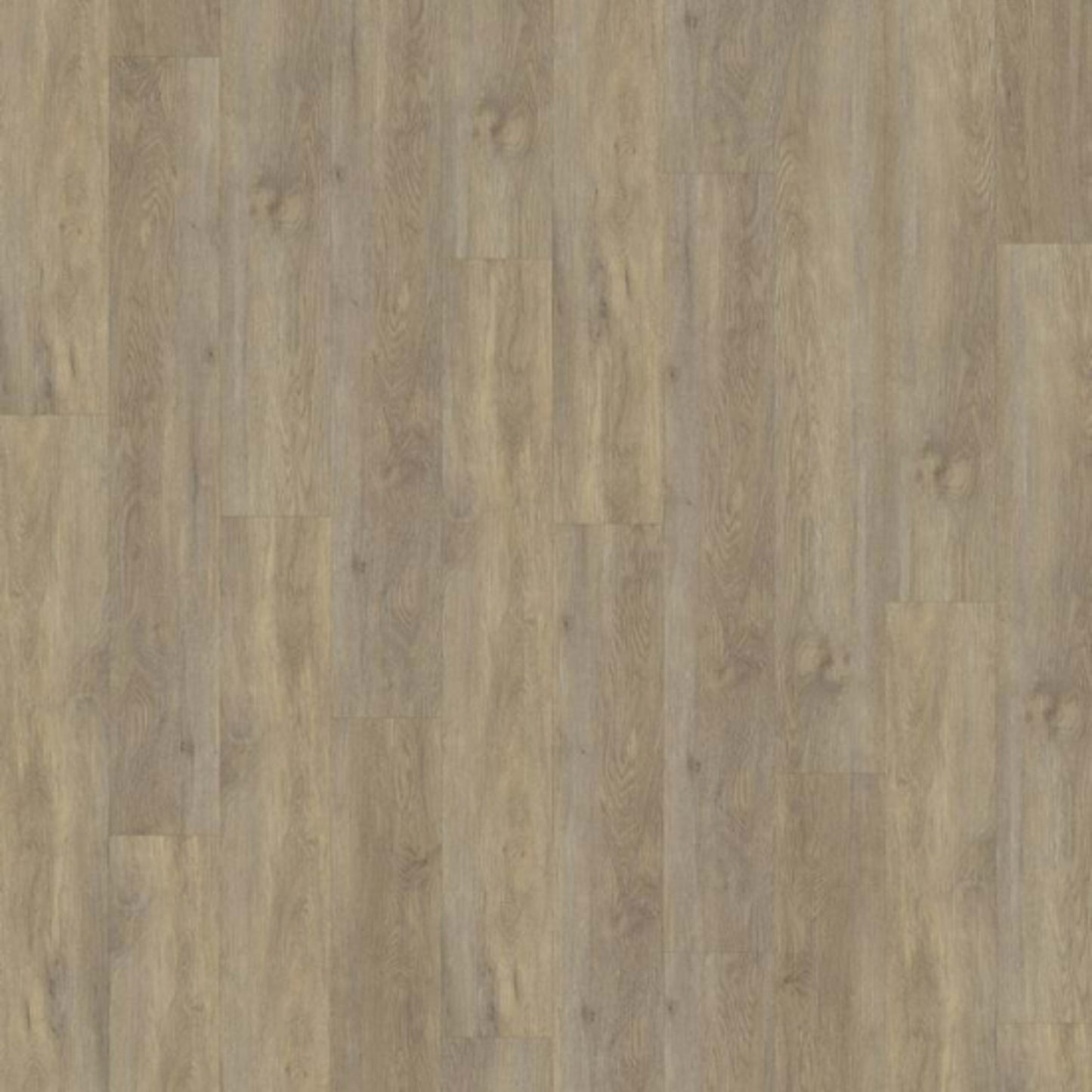 Click 5mm Wood Collection in Taiga