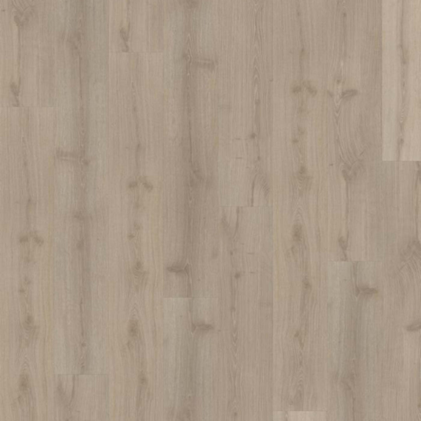 Impression Wood Collection - Click 6mm in Dovecot