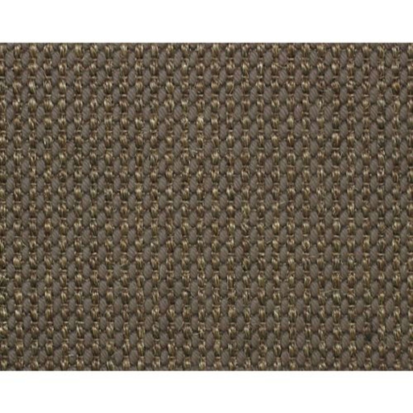Remington in Greige Carpet