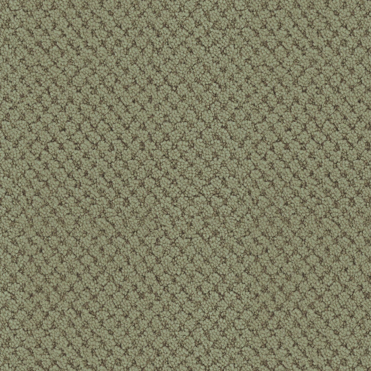 La Parade in Meadow Carpet