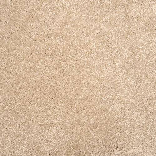 Lancelot in Sand Dollar