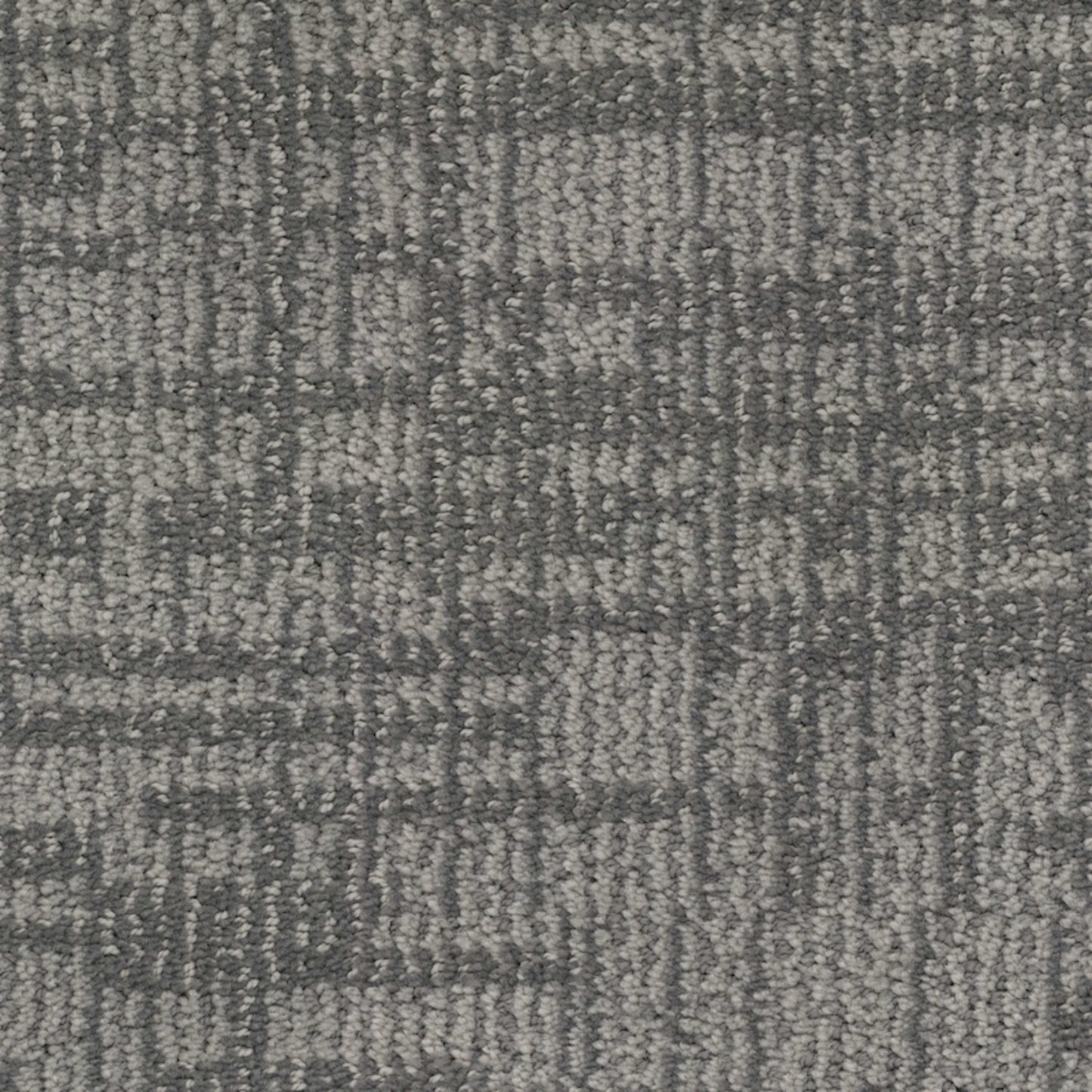 Lineage in Yorkie Carpet