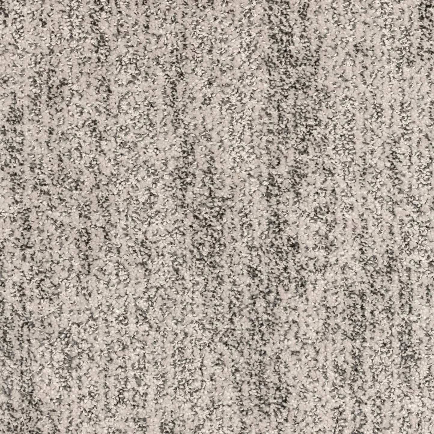 Lionel in Graphite Carpet