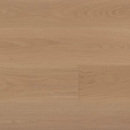 Aventra in Mistral