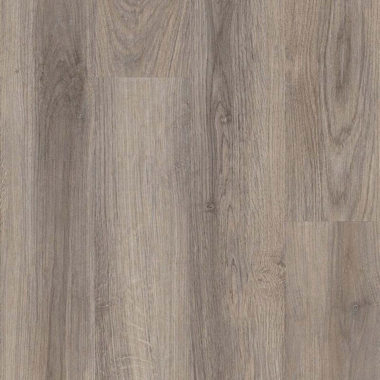 American Charm 6 Burr Mill Oak in Cambridge 6" X 36" Luxury Vinyl