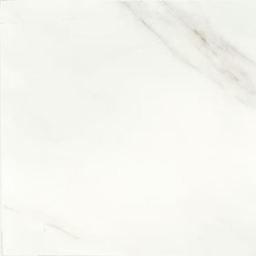 Mirasol in Bianco Carrara-12x24x.375