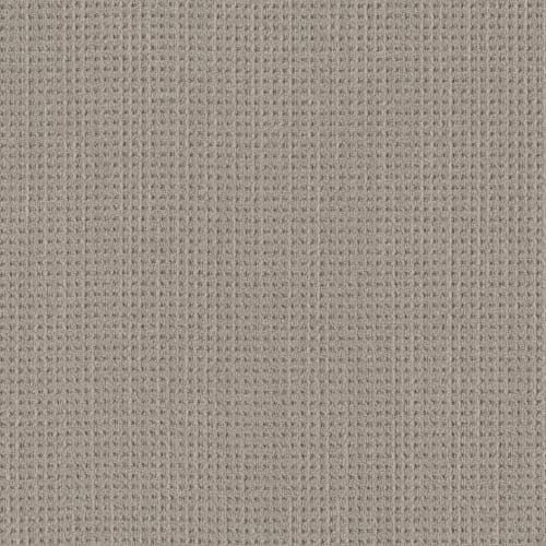 Finely Detailed in Warm Taupe