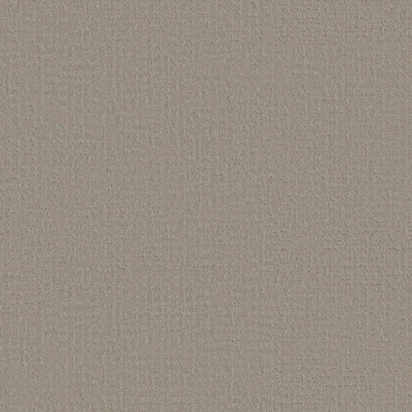 Studio Plaza in Sandstone Carpet