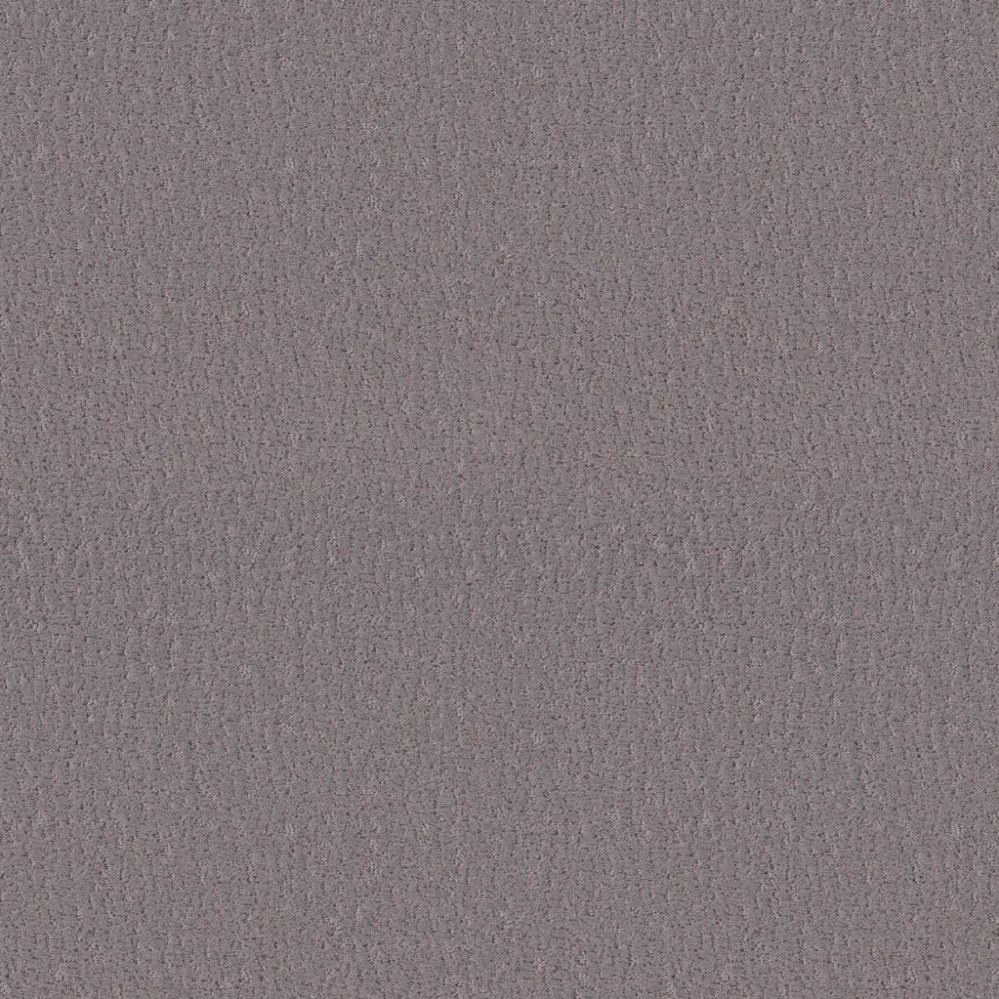 Studio Set in Fallen Acorn Carpet