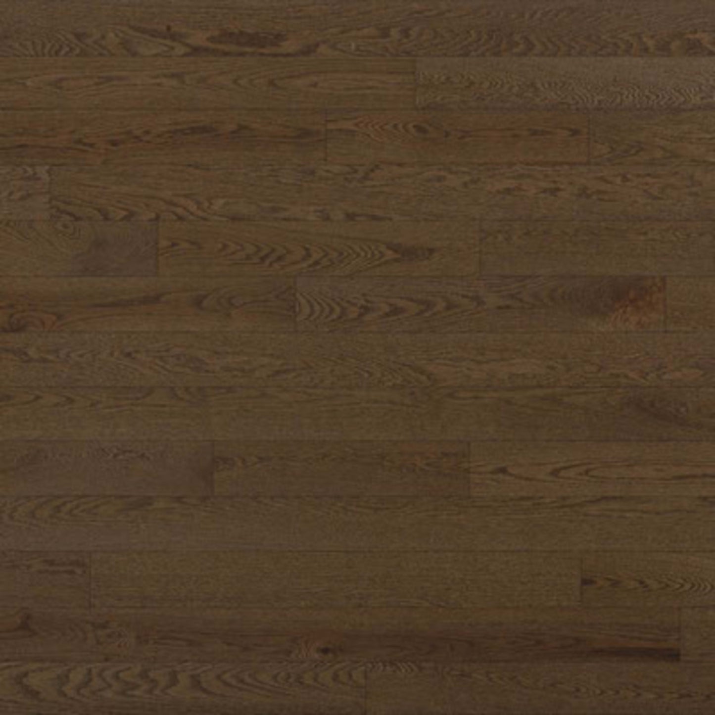 Montebello in Java Bean Hardwood