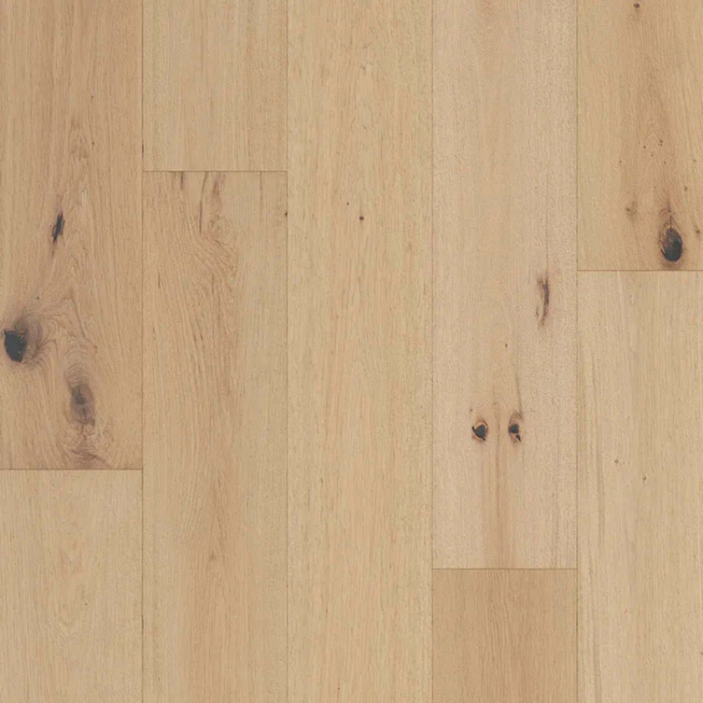 Rustics - Momentum in Barley Hardwood