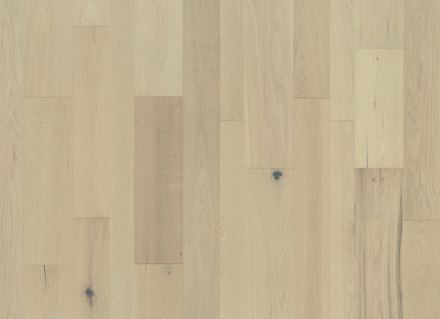 Monterey Hardwood in Appaloosa