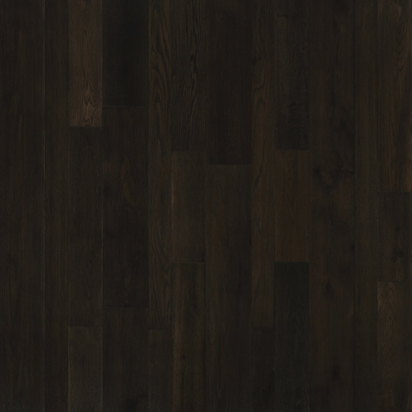 Monterey Hardwood in Calgary Hardwood