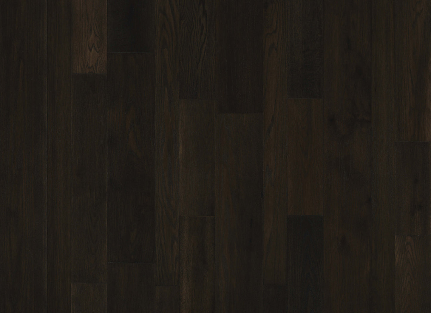 Monterey Hardwood in Calgary