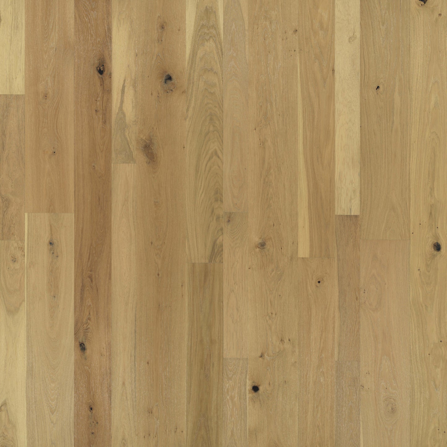 Monterey Hardwood in Cheyenne Hardwood