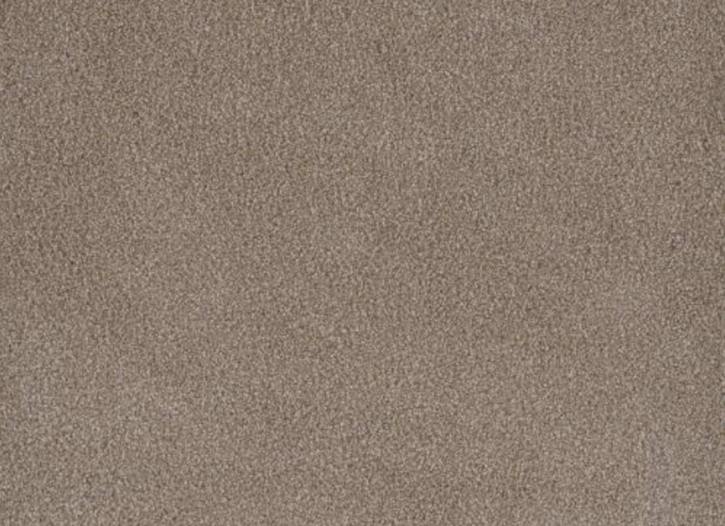 PALMETTO I