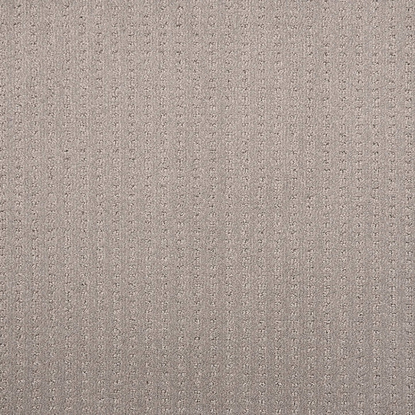Merlin in Platinum Carpet
