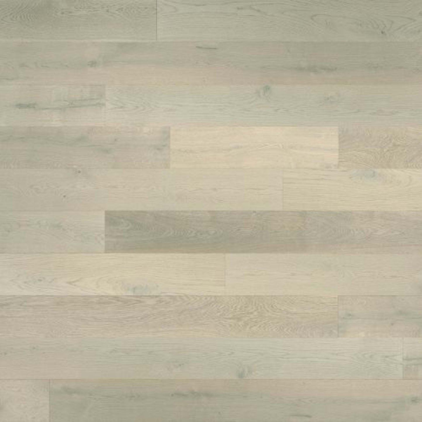 Designer Collection in Morning Mist Hardwood