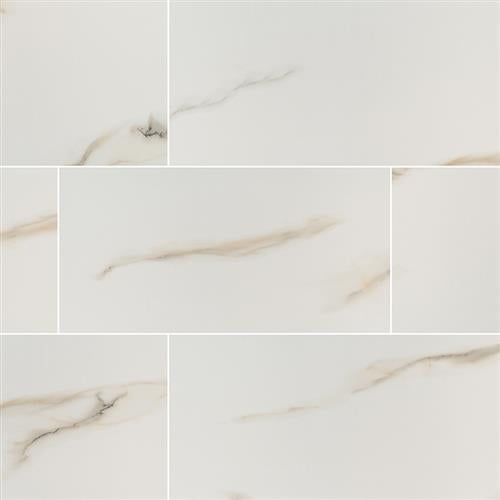 Aria in Bianco - 24x48 Tile