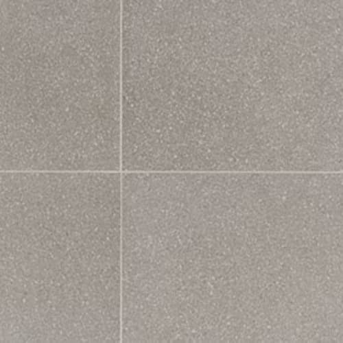 Neospeck in Light Gray-12x24-Matte