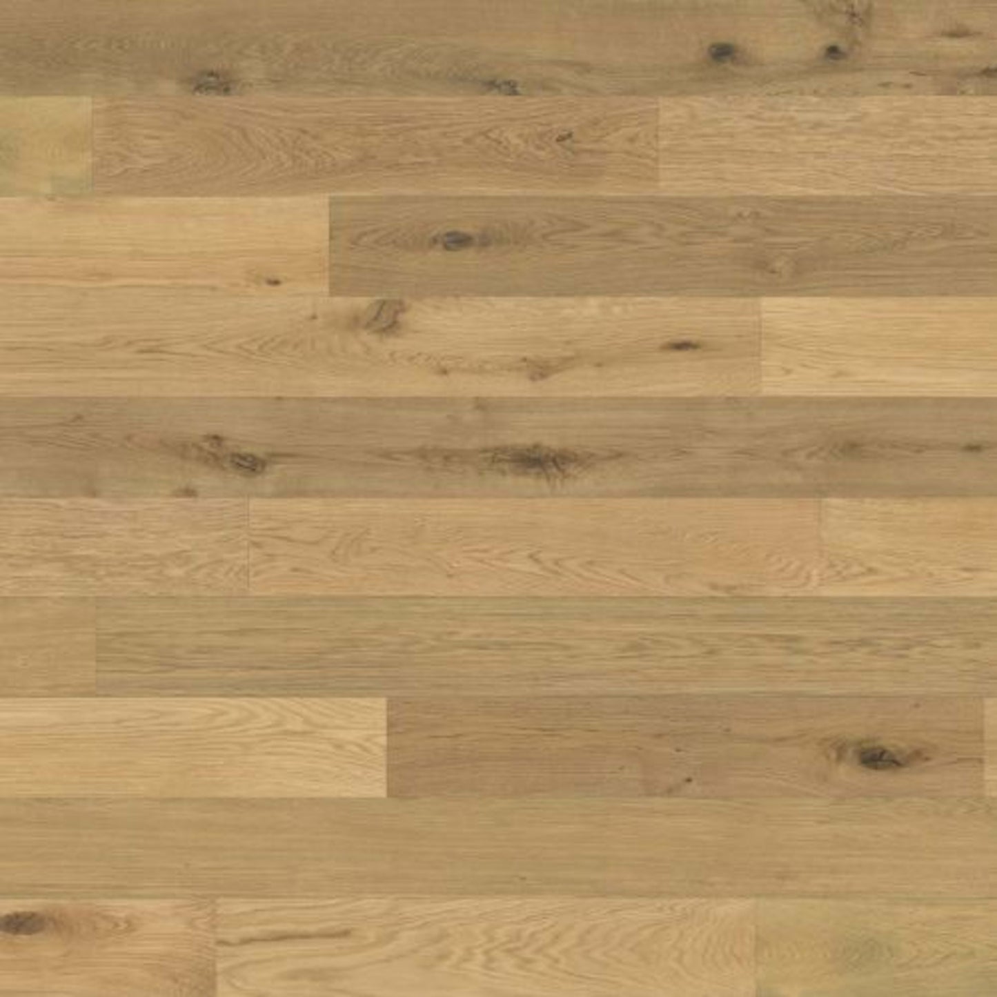 Designer Collection in Natural 8" Hardwood