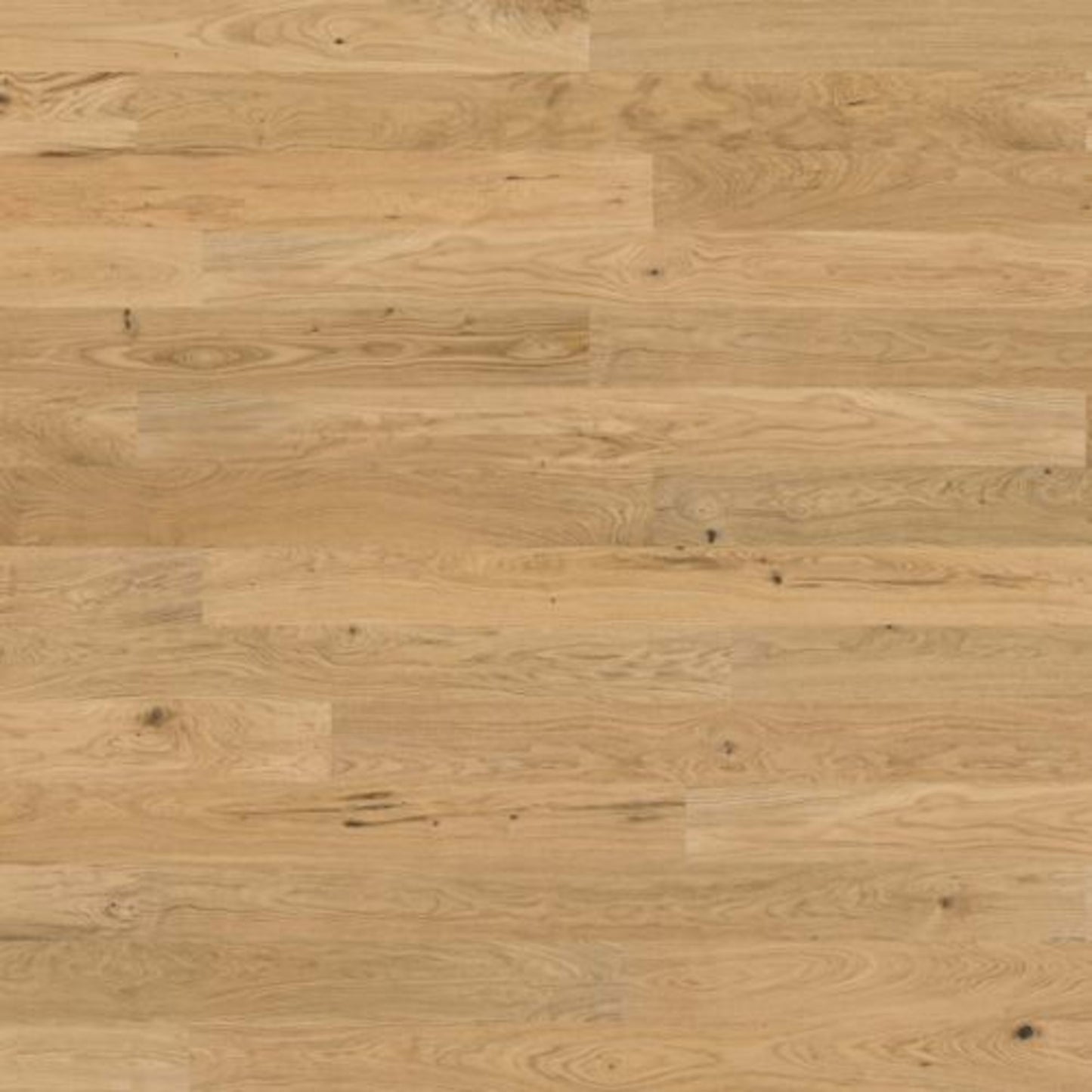 Designer Collection in Natural 6 1/4" Hardwood