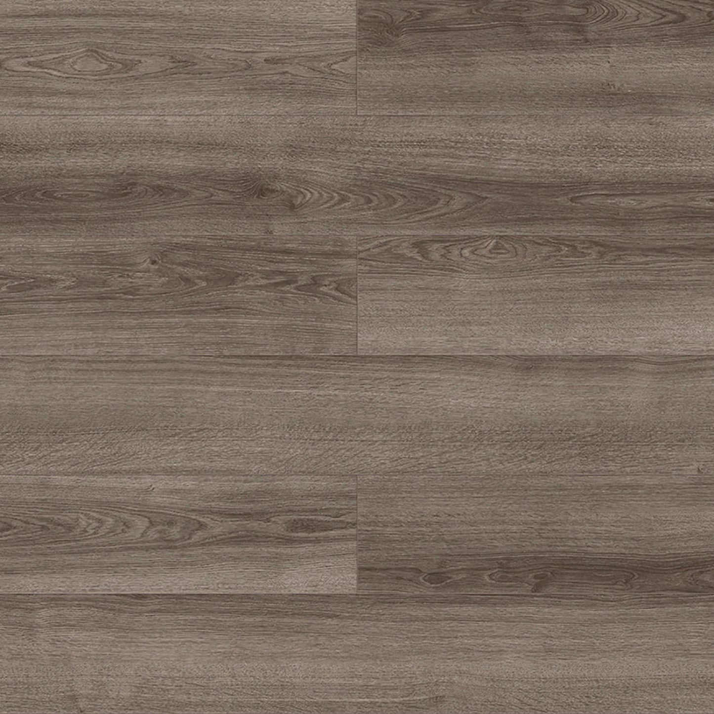 Visions in Nelson Laminate