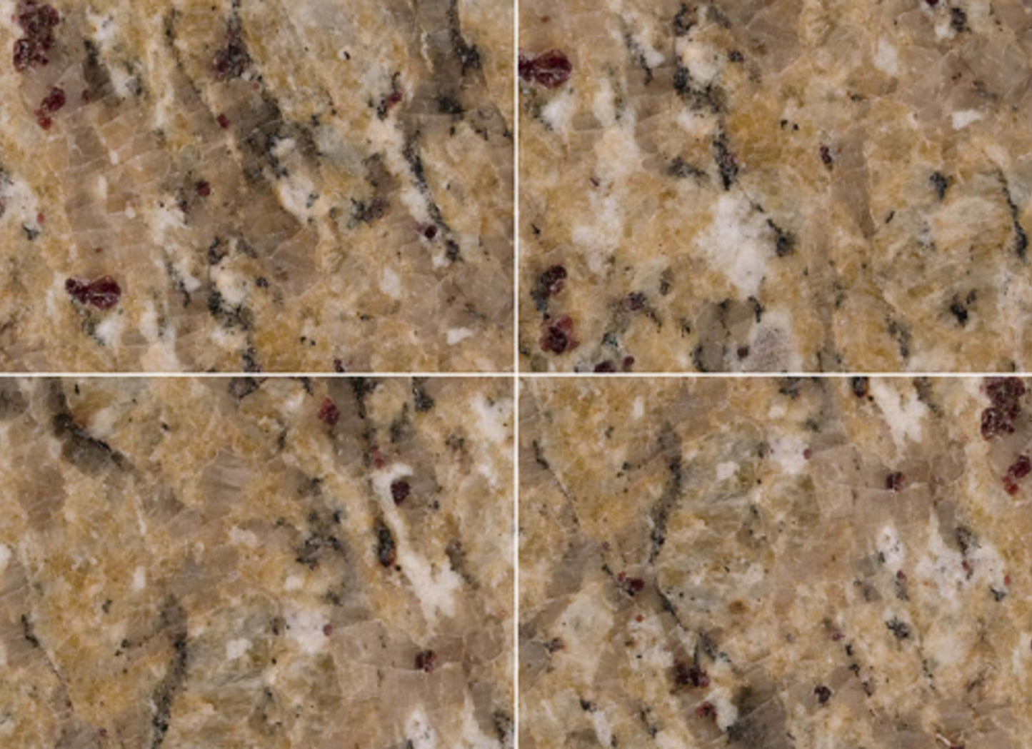 New Venetian Gold in New Venetian Gold - 12x12c