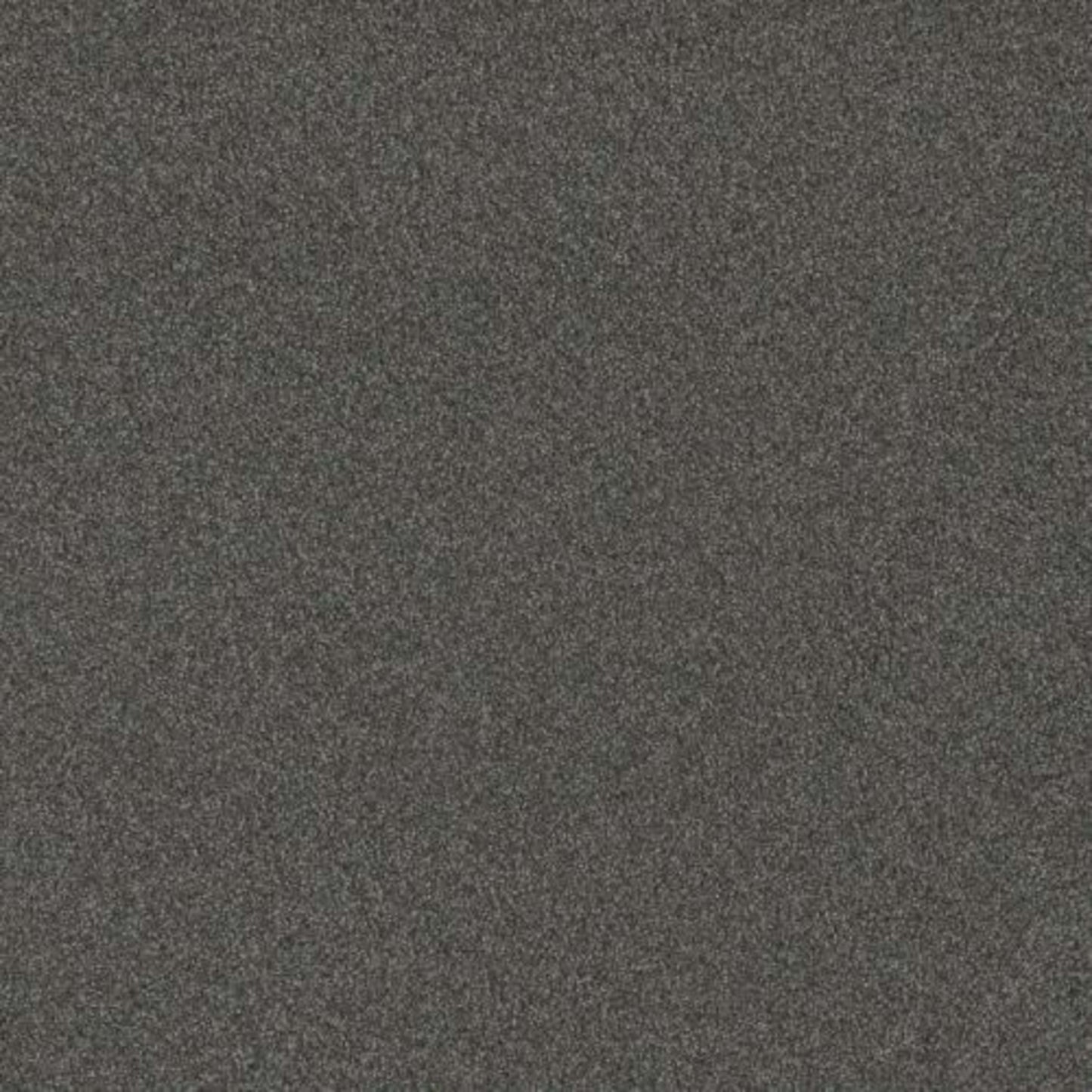 BLAZER I in Nitro Carpet