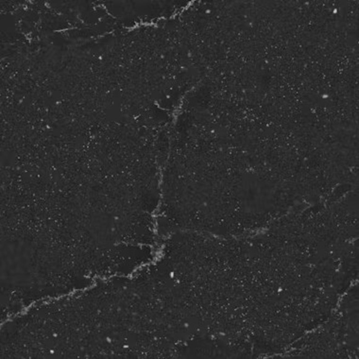Silestone - Le Chic in Romantic Ash Solid Surface