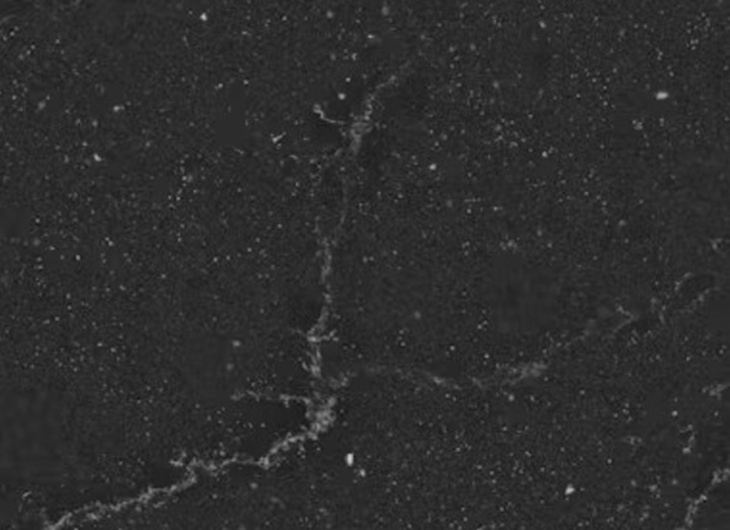 Silestone - Le Chic in Romantic Ash