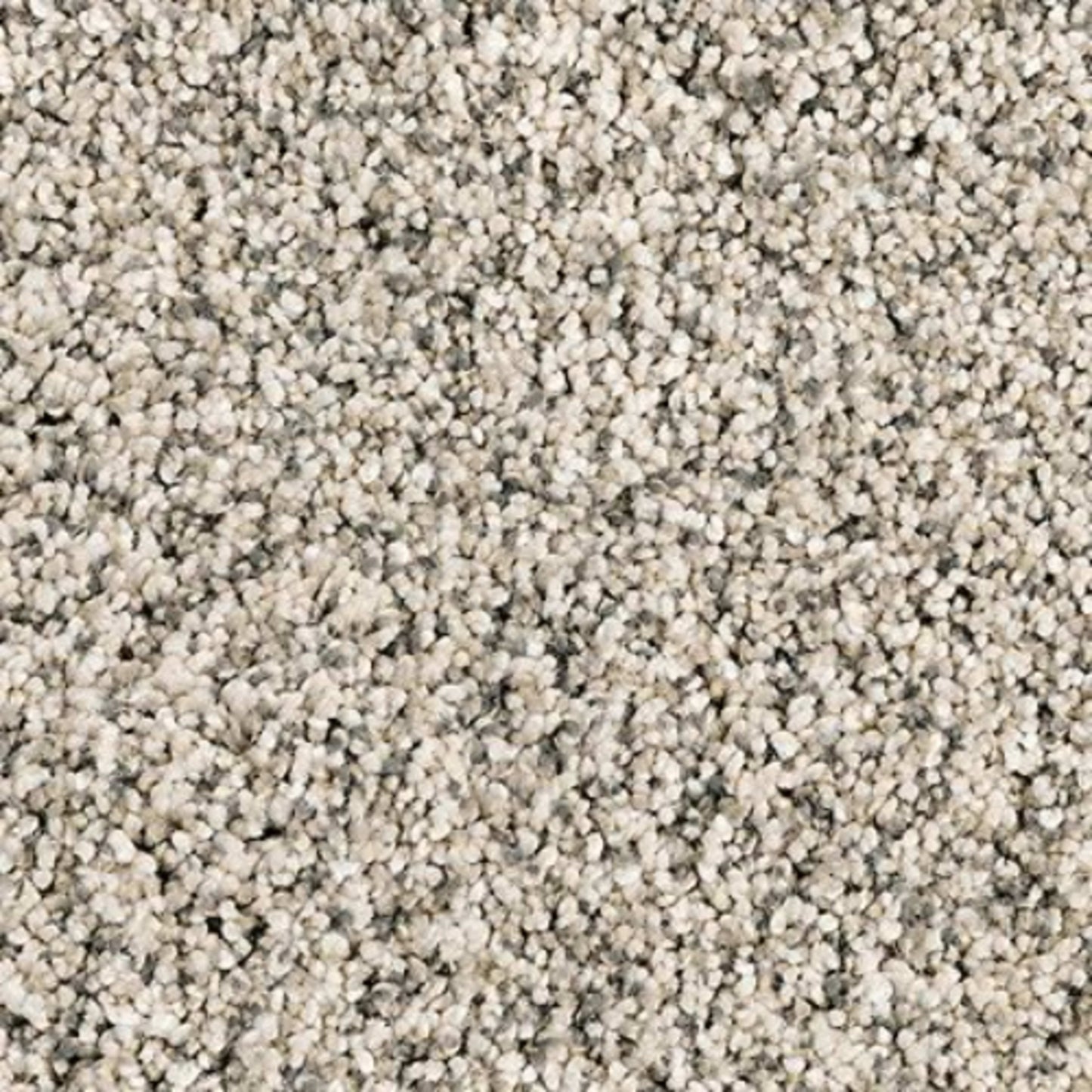 Essential Factors I in Silver Dollar Carpet