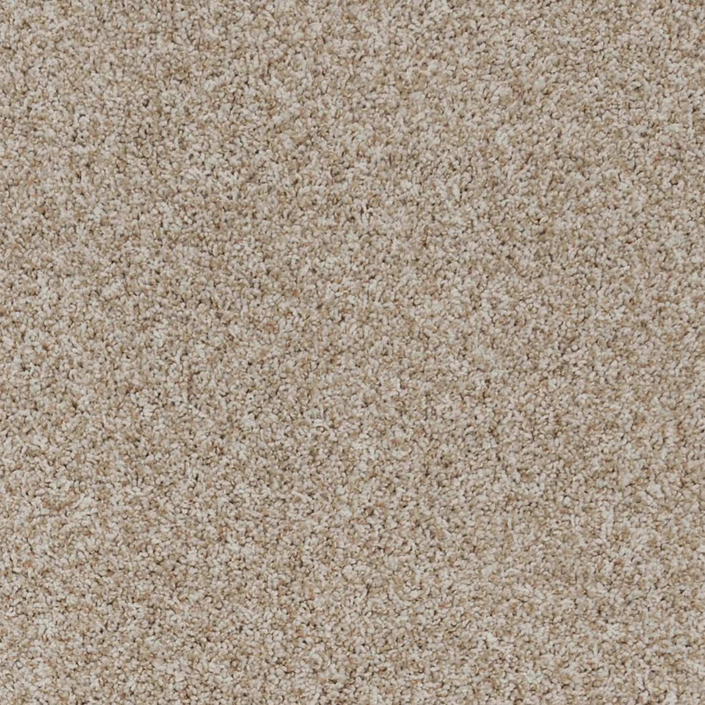 Aurelia in Golden Hour Carpet