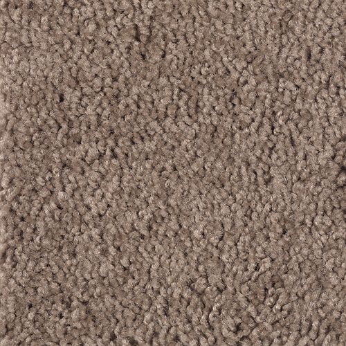 Timeless Idea in Dried Peat Carpet