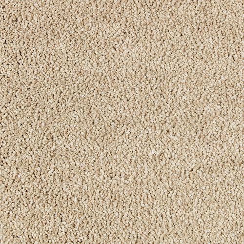 Luxurious Desire in Georgian Carpet