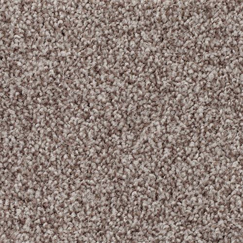Natural Thought in Bittersweet Carpet