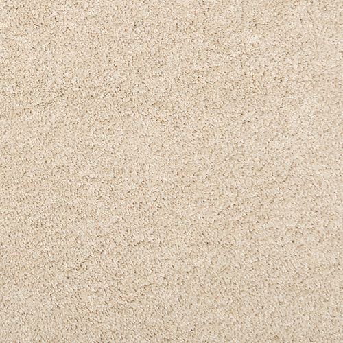 Pure Comfort in Frosted Almond Carpet