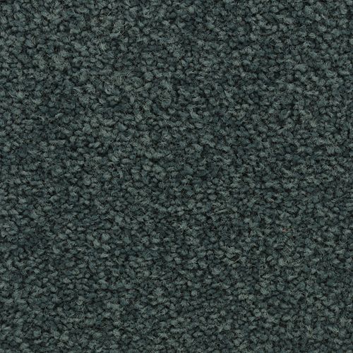 Coastal Vision I